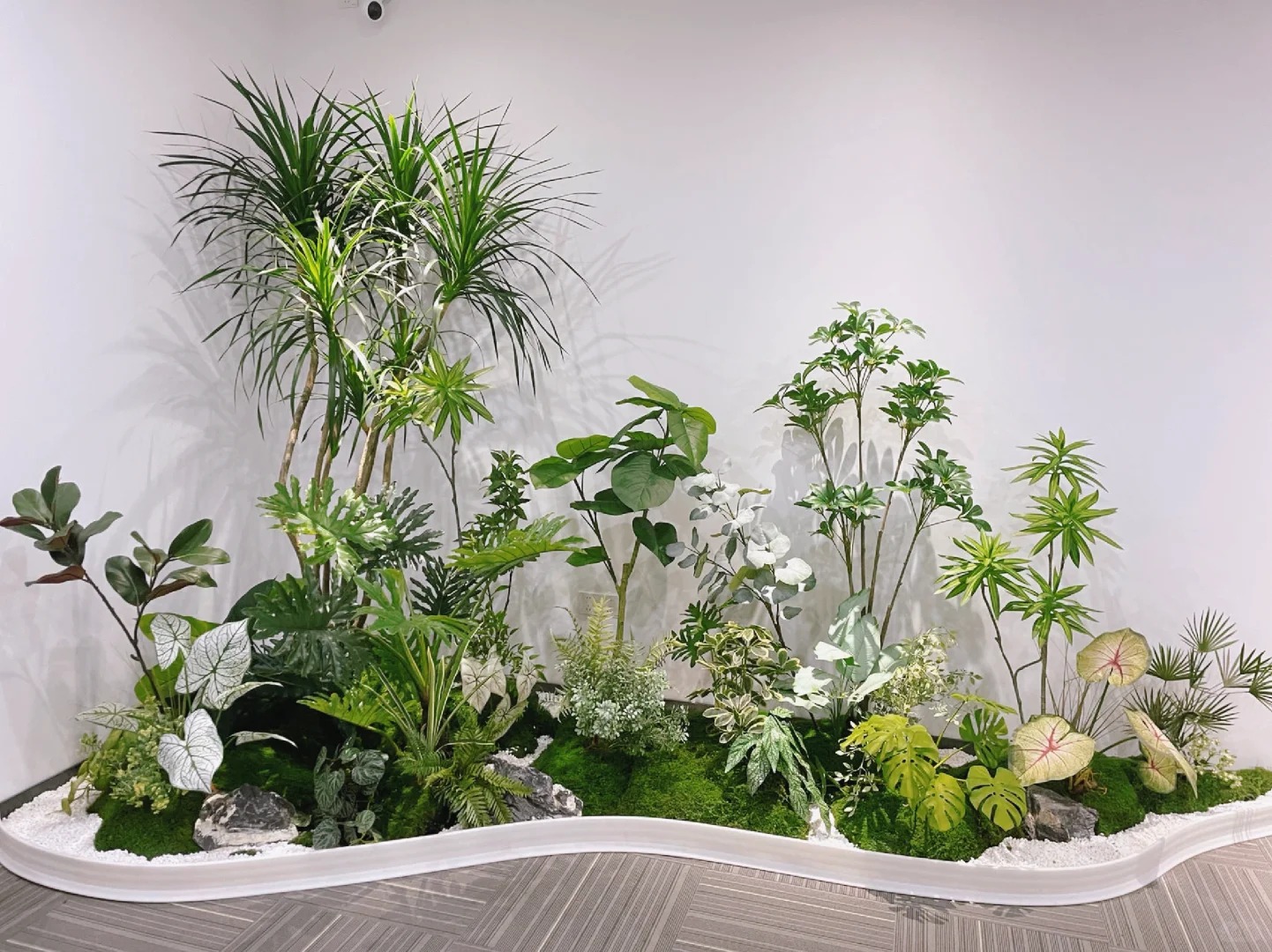 余姚植物租摆专业，绿植焕新家，品质超一流！